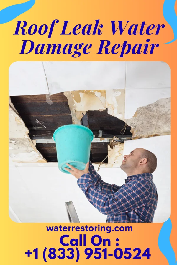 Roof Leak Water Damage Repair in Fish Springs, NV